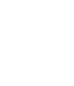 4 (Demo)