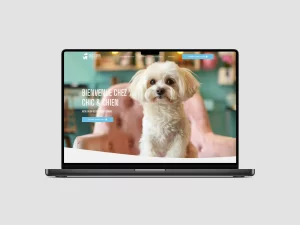 refonte du site web chicetchien.ch