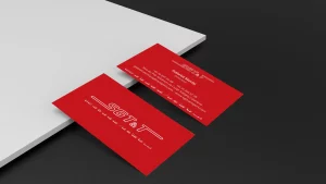design des cartes de visite pour SGTT